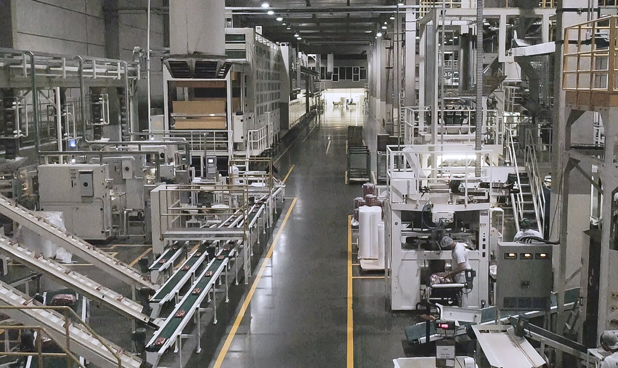 Fotografia New Selmi factory, with over 120 years of tradition